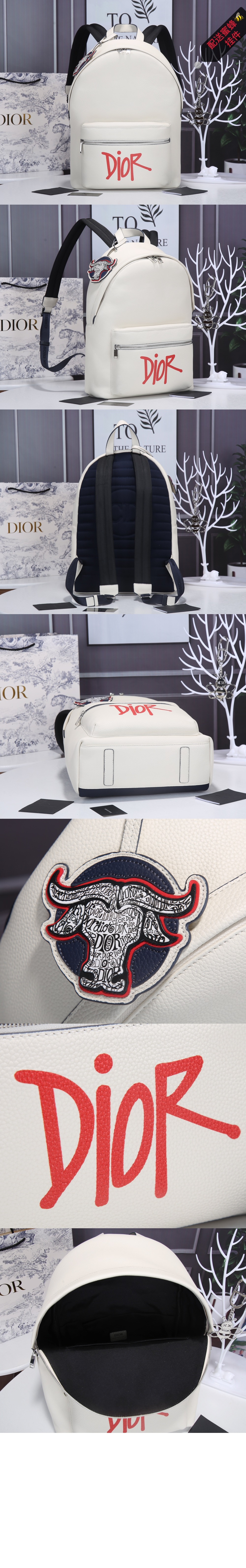 미러급레플리카사이트 | 명품레플리카 전문 쇼핑몰  | 하이퀄 - 라이더 백팩 1ESBA &gt; 디올