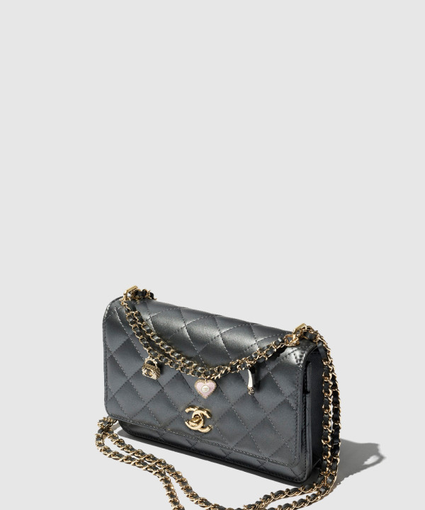 체인 지갑 AP4537